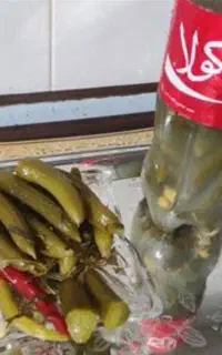 خیارشور
