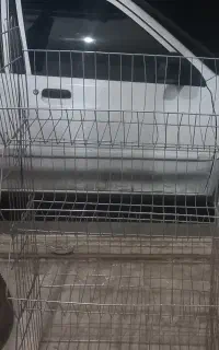 استند