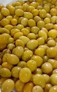 کارخانه تولید زیتون شور کنسروی سیرترشی گل سیر
