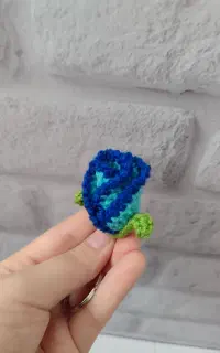 جاکلیدی گل رز