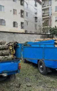 خرید چوب باغی