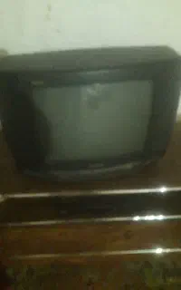 تلوزیون