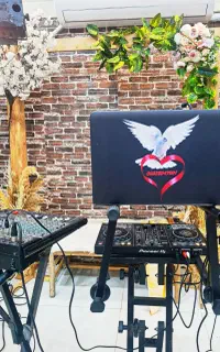 دیجی(dj) خانم همراه با نور پردازی و بخار حرفه ایی