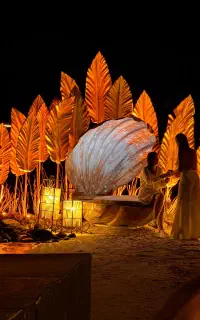 به دنبال مربی رقص حرفه ای