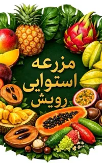 کارگر ماهر برای بسته بندی