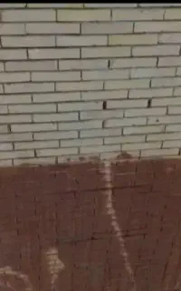 نماه شوی انوای نما