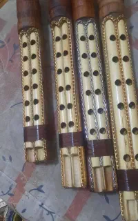 سازنده ی نی انبان (همبونه)