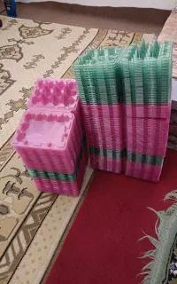 فروش ظرف تخم بلدرچین