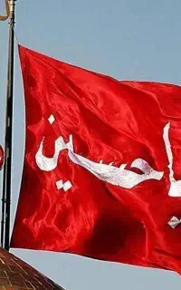 تورکربلا/ نجف کاظمین/سامرا درجه یک