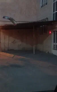 ایرانیت و چند شاخه قوطی