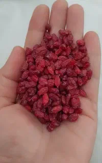 زرشک  خراسان