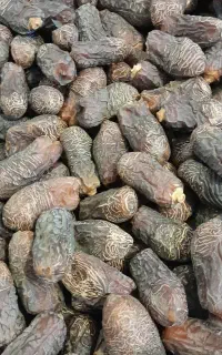 خریدار خرما پیارم صنعتی (گنجشک خورده)
