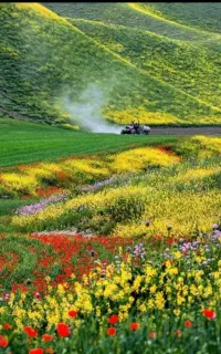 آرماتور بند