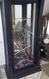 ویترین جای پرندگان