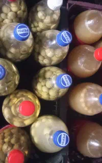 محصولات خانگی