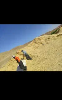 فروش کاه به کل استان گیلان فقط کاه