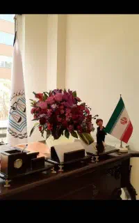 وکیل پایه یک دادگستری(مشاوره تلفنی) فورس ماژور