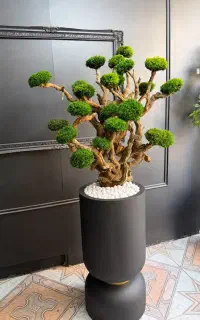 انواع درختچه های مصنوعی وارداتی