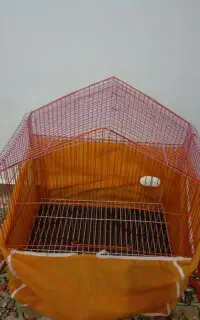 قفس پرنده