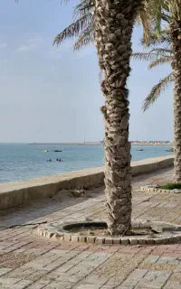 سفر فصلی به جنوب (بوشهر )