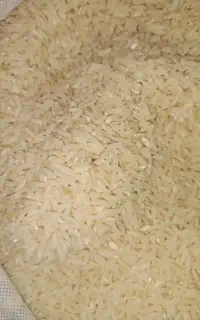 برنج