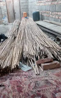 نی سقفی فروش فوری