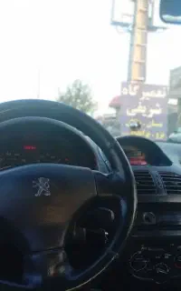 ۲۰۶sd تمام رنگ