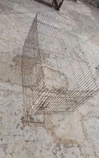 قفس بزرگ برای خرگوش یا سگ یا جوجه معاوضه با کفتر