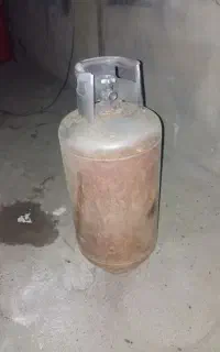 یک عدد کپسول بزرگ سالم