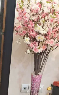 شکوفه سقید و صورتی