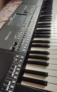 ارگ pa600 QT