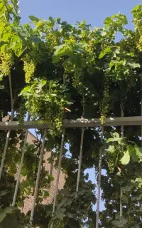 منزل ویلایی