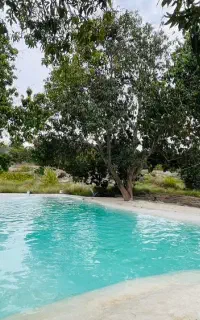 استخر