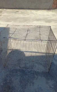 قفس پرنده
