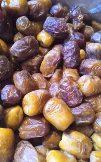 رطب مرداسنگ فروشی قیمت کیلویی 180
