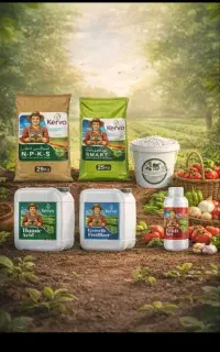 کود ارگانیک Kerva / افزایش ۲۰٪ بازدهی