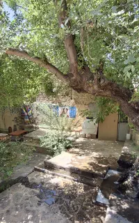 سینما زیر بارش شهابی برساوشی چند قدمی  مشهد