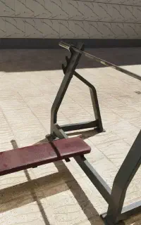 میز پرس سینه با هالتر