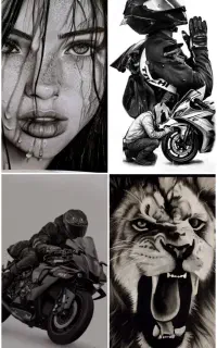 ثبت نام سیاه‌قلم(ویژه مبتدی‌ها)