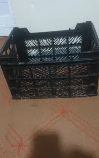 سبدمیوه