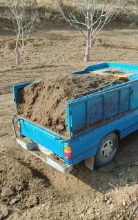 کود دام