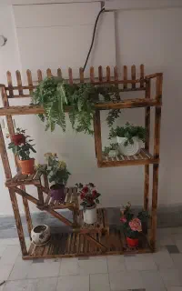 استند گل