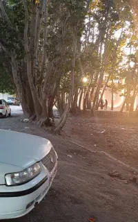 گلگشت وطبیعت گردی،دوچرخه سواری