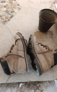 کفش
