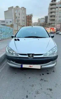 ۲۰۶ تیپ ۲ / استثنایی