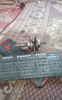 میلنگ سالم درحدنو
