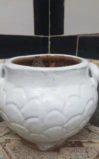 گلدان