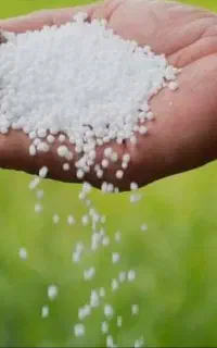 کود اوره