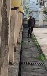 سمپاشی سوسک ساس و کنه وکلیه حشرات۱۰۰درصد تضمینی