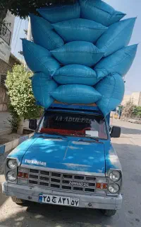 خرید کاه